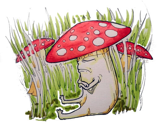 grumpy mushroom